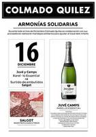 Armonias Solidarias 16  de Diciembre 2014